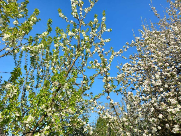 Danas u BiH sunčano, temperature od 22 do 28, lokalno na sjeveru do 30 stepeni