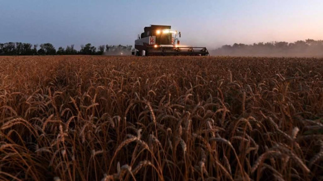 FAO indeks cijena hrane u junu porastao 0,5 posto
