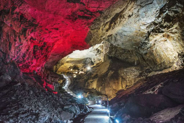 U Vjetrenici divlje vrste žive u savršenoj ravnoteži tame, vlage i tišine