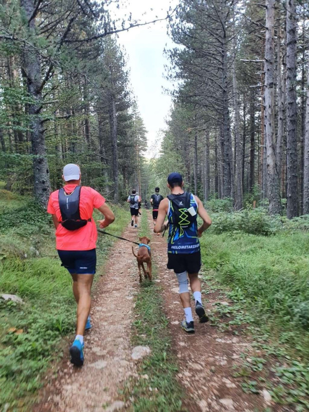 WHO: Fizička neaktivnost tiha prijetnja globalnom zdravlju