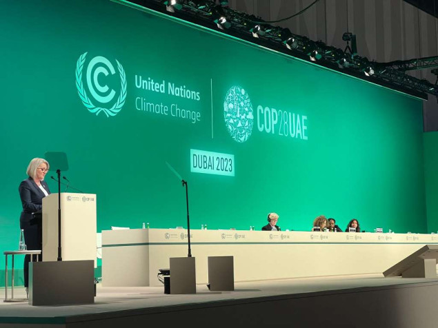 Krišto na COP28 u Dubaiju: Samo zajedno možemo ostvariti promjene i sačuvati planetu