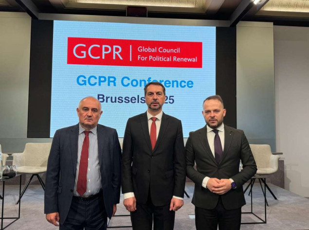 Delegacija PSBiH u Bruxellesu na godišnjem sastanku Globalnog vijeća za političku obnovu