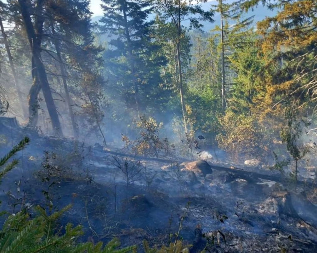 Požar na Grmeču zahvatio velike površine, u gašenje uključeni i građani
