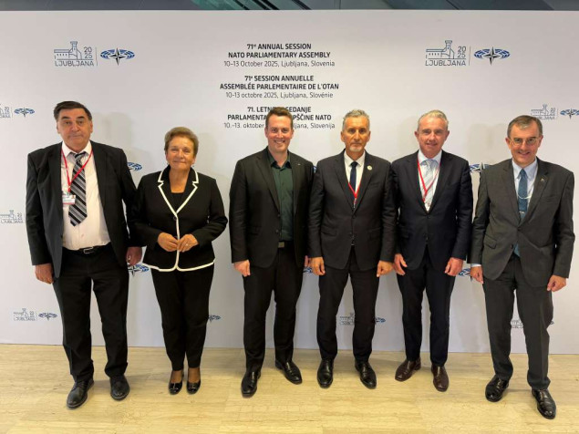 Delegacije PSBiH i Australije na marginama PSNATO - Naglašeni prijateljski i partnerski odnosi