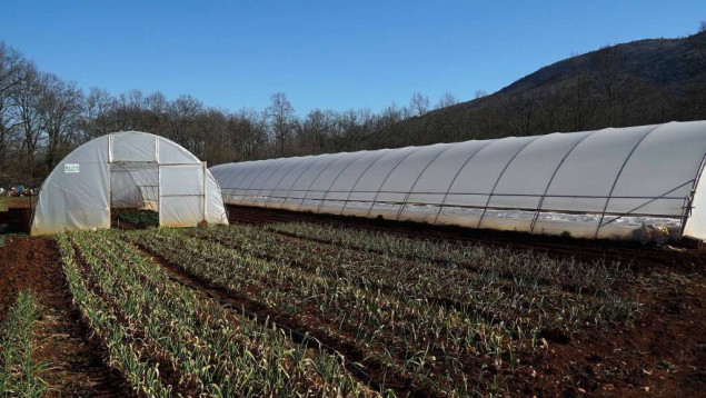 Najavljeno zahlađenje moglo bi napraviti štete poljoprivrednicima, proljetna sjetva kasni zbog kiša