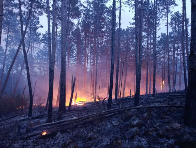 Lokaliziran požar kod Ljubuškog