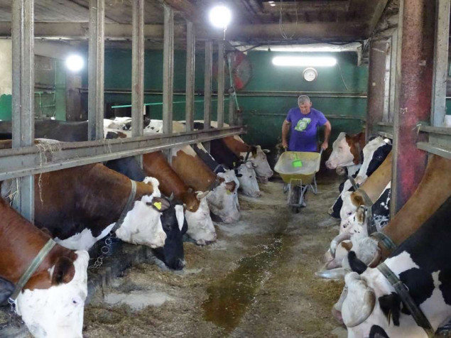 Farmeri iz Unsko-sanskog kantona traže dodatnu podršku zbog inflacije