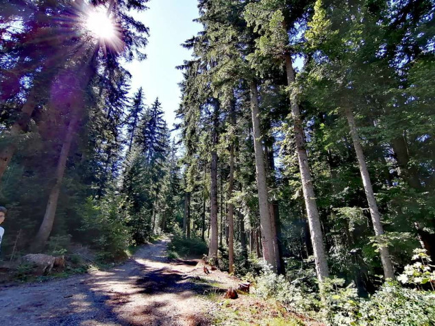 Sunčano vrijeme u BiH uz malu do umjerenu oblačnost, na Bjelašnici 7 stepeni