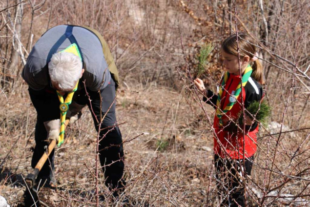 U akciji pošumljavanja na Rujištu posađeno 2.400 sadnica crnog bora