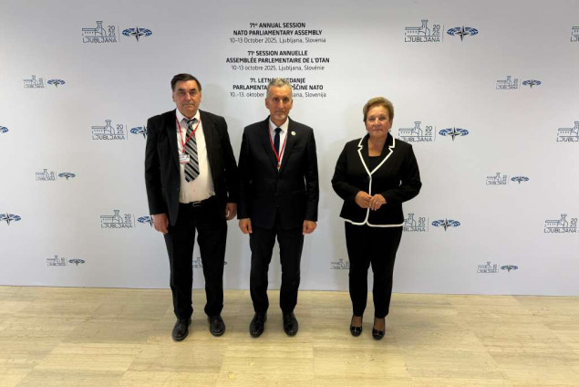 Delegacija PSBiH učestvovala u radu komiteta u okviru 71. godišnjeg Zasjedanja PSNATO-a u Ljubljani