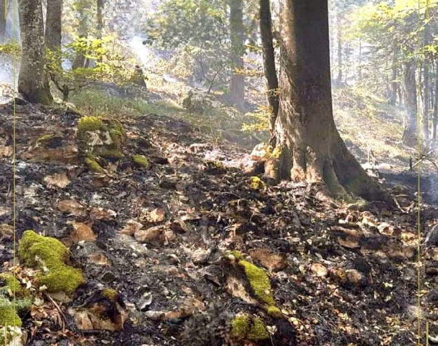 Stanje na požarištu na Plješevici stabilno, dežurne ekipe ostaju na terenu