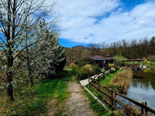 Hrustanovići svoju plantažu voća 'Baš-Bašča' u Brezi pretvorili u oazu mira i zdrave hrane