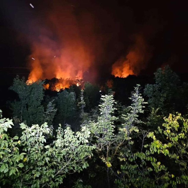 Aktivan požar kod Stoca, gore trava i nisko raslinje na nepristupačnom terenu