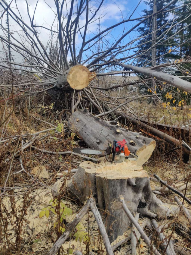 MUP RS uhapsio bivšeg direktora 'Šuma RS' Slavena Gojkovića i trojicu rukovodilaca, jedan u bjekstvu