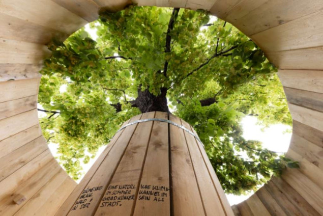 U centru Beča postavljena kućica na drvetu
