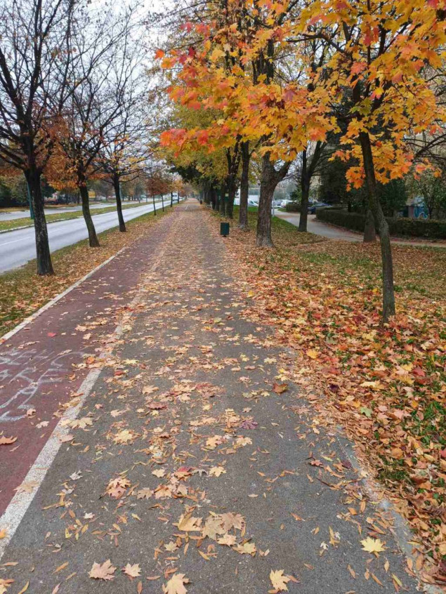 Sunčano na jugu, oblačno u ostatku zemlje: slabija kiša moguća u Bosni