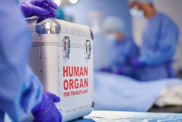Nestašica doniranih organa u svijetu, nauka traži rješenje