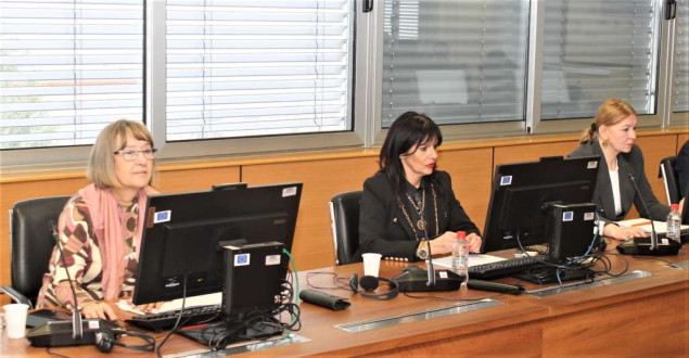 Visoko sudsko i tužilačko vijeće BiH ostaje posvećeno borbi protiv rodno zasnovanog nasilja