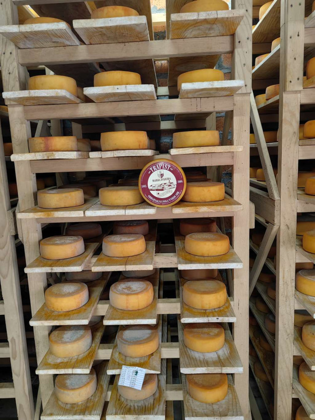 Moglo bi se proizvesti pet tona trapista mjesečno