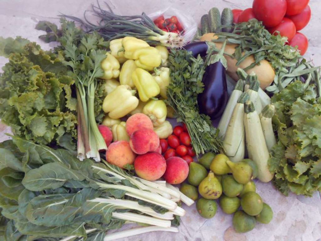 Što se sve smije unijeti preko granice u šengenski prostor?