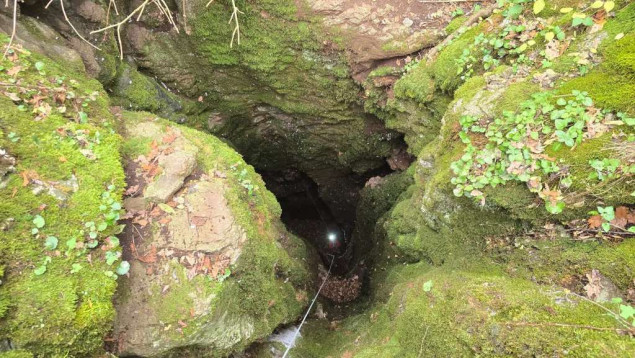 Značajna morfološka i biološka otkrića u jami Vršaji