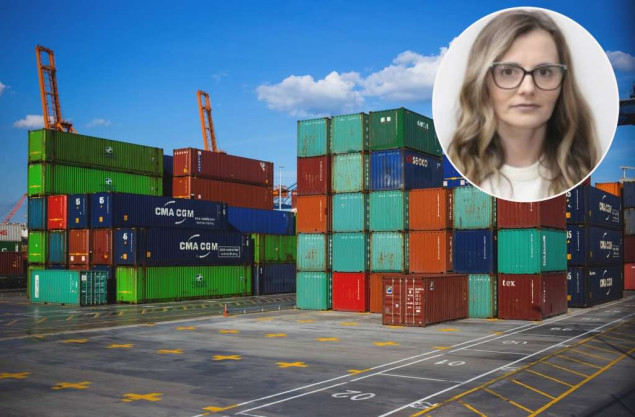 Salkičević-Dizdarević: Priče o tome kako se pokušava zaštiti izvoz BiH u kontekstu SAD padaju u vodu