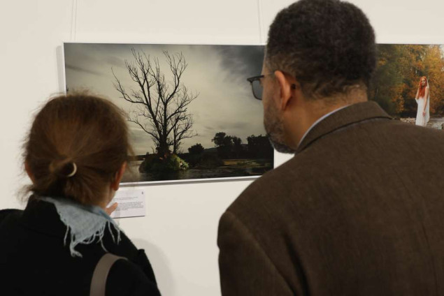 Jeina: Legalna Skupština Udruženja likovnih umjetnika u BiH zakazana za 29. novembra