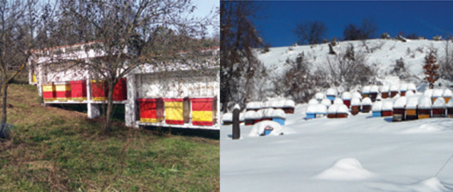 Romanijski med zaštićen oznakom podrijetla
