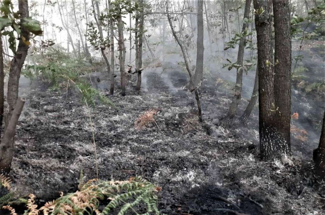 Požar u blizini tuzlanskog izletišta Ilinčica i dalje aktivan