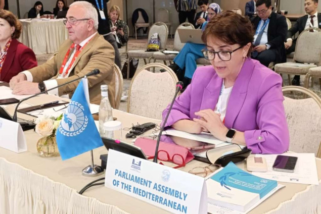 Dervišević učestvovala je na 4. konferenciji Parlamentarne mreže Pokreta nesvrstanih u Uzbekistanu