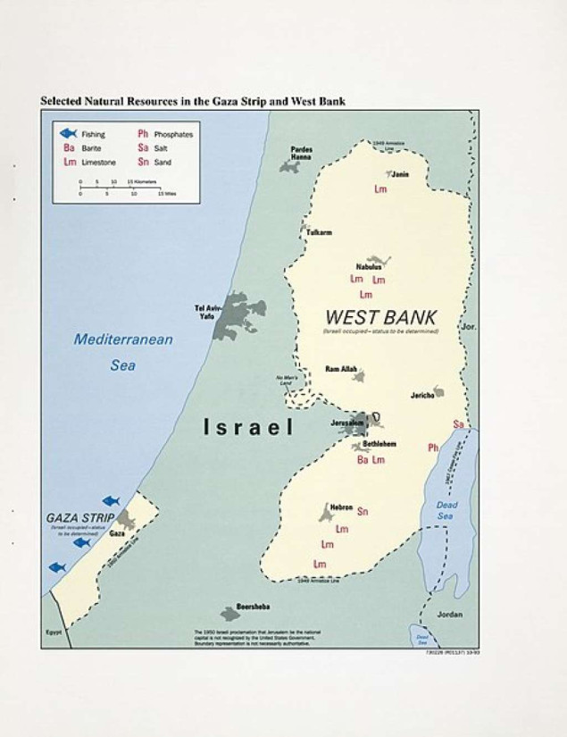 Palestinski zvaničnici: Jevrejski doseljenici zapalili kuću i dva automobila u Huwari