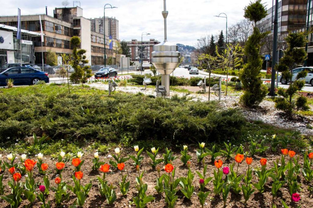 Proljeće u Novom Sarajevu: 6.000 tulipana i uređenje zelenih površina