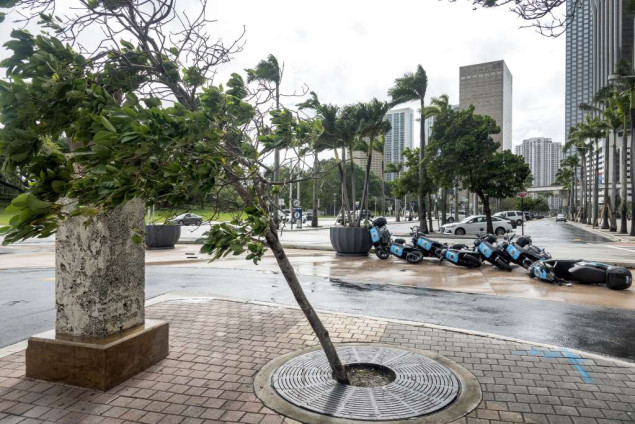 Uragan Debby izbacio na plažu na Florida Keysu kokain vrijedan više od milion dolara