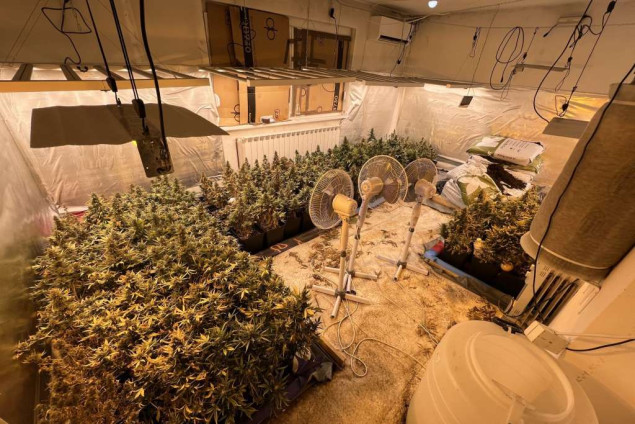 U akciji MUP-a KS pronađene dvije laboratorije za uzgoj marihuane