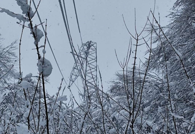 Snijeg izazvao ekstremna opterećenja i kvarove na elektroenergetskoj infrastrukturi