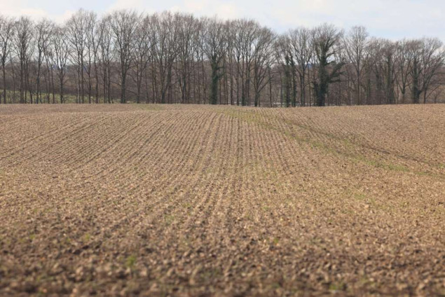 Usvojen Program novčanih podrški u poljoprivredi i ruralnom razvoju u iznosu od 175 miliona KM