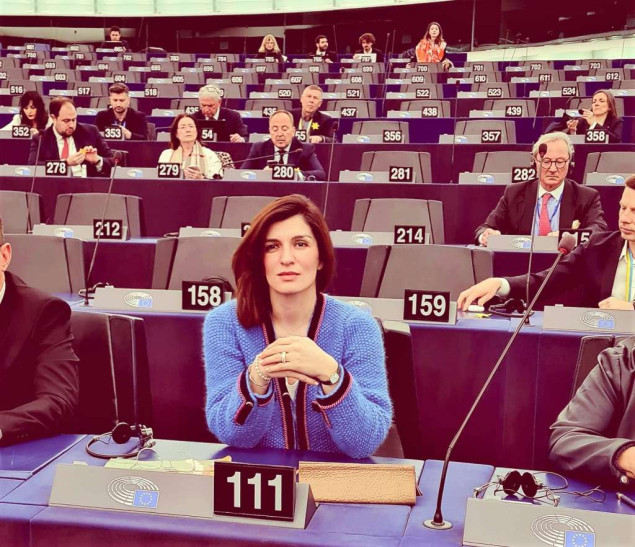 Ćudić u Strasbourgu zahtijevala izvještaj Vijeća Evrope o Srbiji, u sali nastao haos