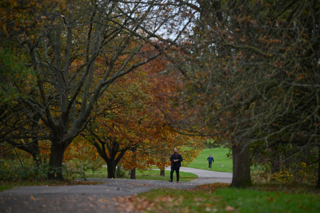 Jesen u punom sjaju: Regent’s Park u Londonu u nijansama zlatne i smeđe boje