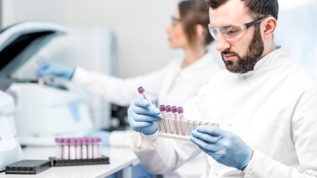 Afrička kuga svinja potvrđena na devet imanja na području Bijeljine