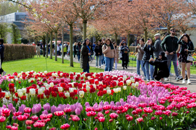 Otvoren Keukenhof, jedan od najvećih vrtova tulipana u svijetu