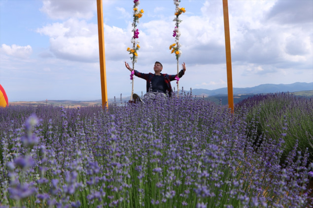 Prostrana polja lavande u turskom gradu Tekirdag