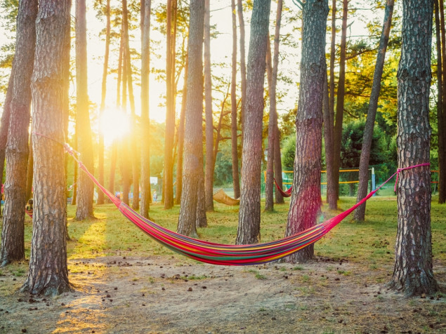 Crnogorci obaraju rekord u ljenčarenju
