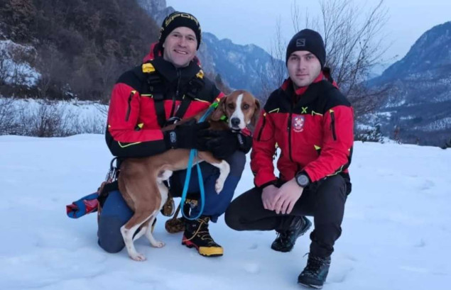 Pripadnici GSS-a Jablanica spasili lovačkog psa zaglavljenog u stijenama