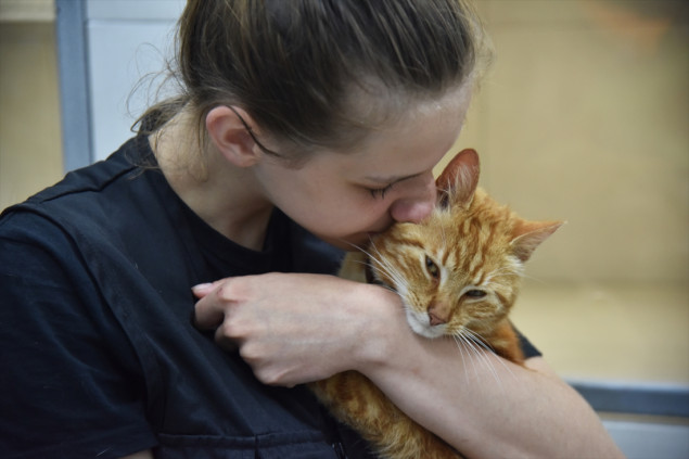 Životinje spašene iz poplava u Hersonu prebačene u Lavov