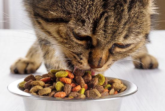 Federalna inspekcija na GP Orašje zabranila uvoz devet tona hrane za mačke