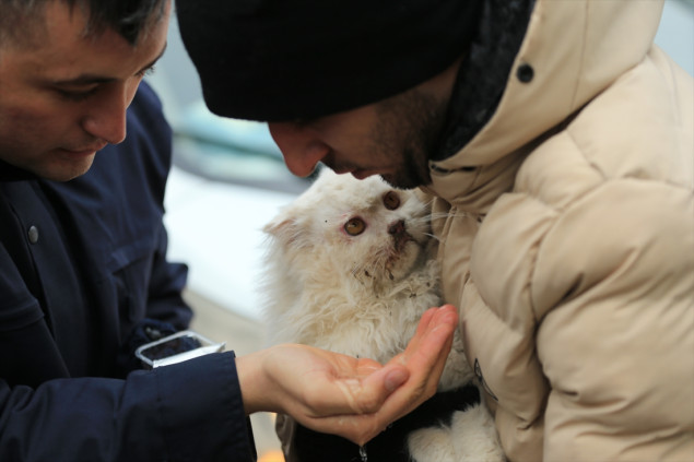 Turska žandarmerija spasila mačku ispod ruševina u Diyarbakiru