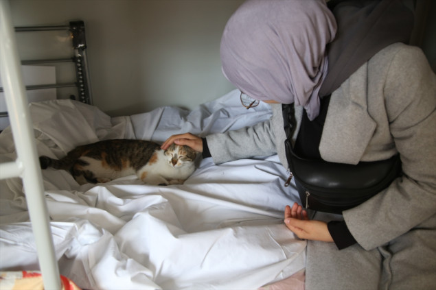 Mačka pronađena 36 dana nakon zemljotresa postala maskota kontejnerskog naselja