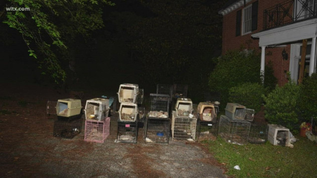 U domu direktorice organizacije za zaštitu životinja pronađeno 30 uginulih pasa i mačaka