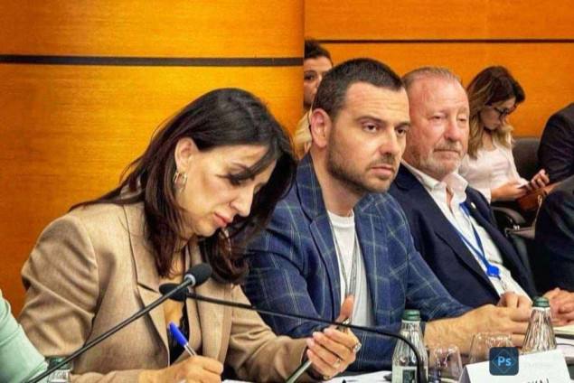 Magazinović na sjednici Komiteta PSVE: Educirati muškarce o borbi protiv nasilja nad ženama