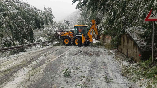 Snijeg izazvao probleme na putevima širom Srbije, neke općine bez struje i telefona